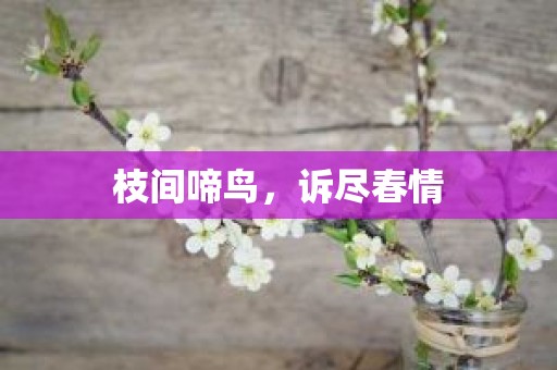 枝间啼鸟，诉尽春情