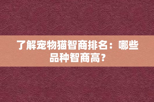 了解宠物猫智商排名：哪些品种智商高？