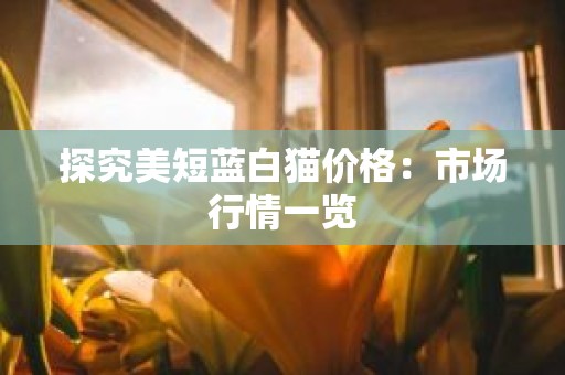 探究美短蓝白猫价格：市场行情一览
