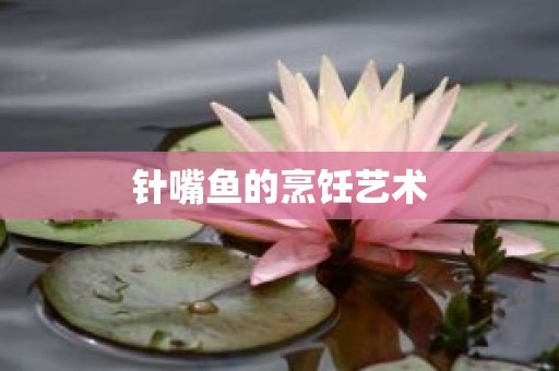 针嘴鱼的烹饪艺术