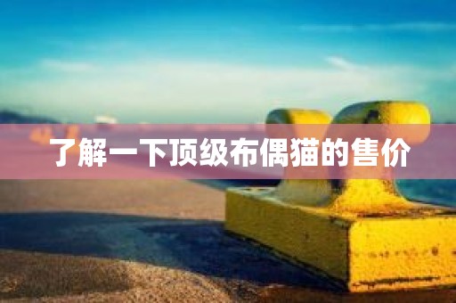 了解一下顶级布偶猫的售价