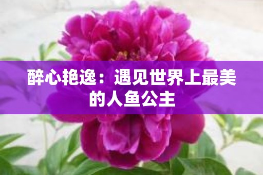 醉心艳逸：遇见世界上最美的人鱼公主