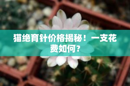 猫绝育针价格揭秘！一支花费如何？