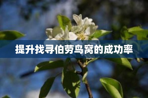 提升找寻伯劳鸟窝的成功率