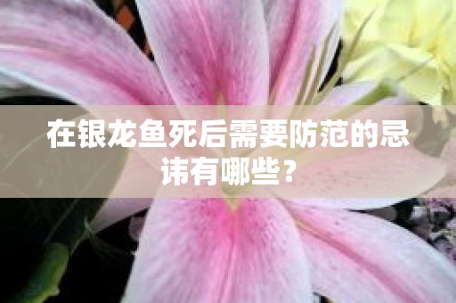 在银龙鱼死后需要防范的忌讳有哪些？