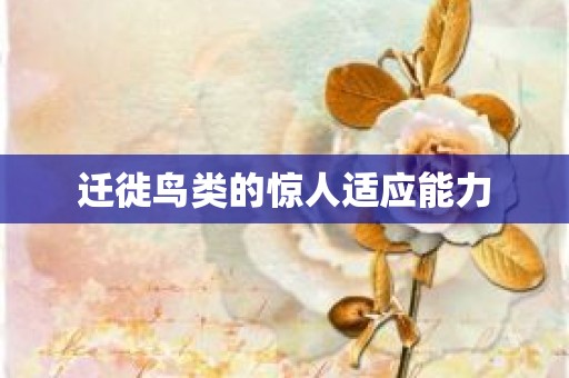 迁徙鸟类的惊人适应能力