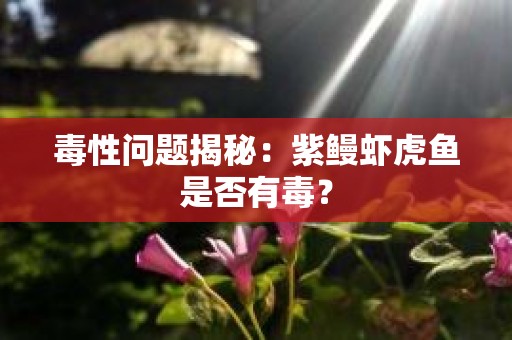毒性问题揭秘：紫鳗虾虎鱼是否有毒？