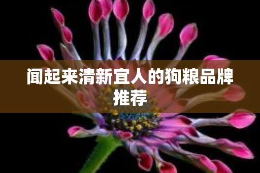 闻起来清新宜人的狗粮品牌推荐
