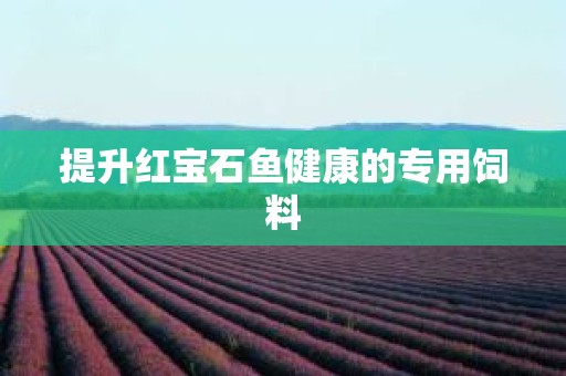 提升红宝石鱼健康的专用饲料