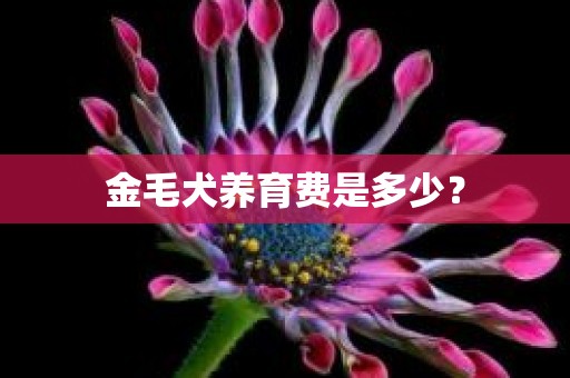 金毛犬养育费是多少？