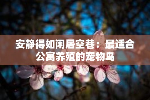 安静得如闲居空巷：最适合公寓养殖的宠物鸟