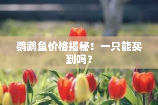鹦鹉鱼价格揭秘！一只能买到吗？