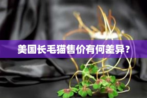 美国长毛猫售价有何差异？