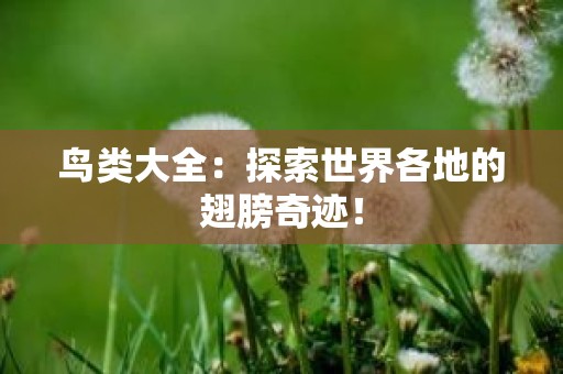 鸟类大全：探索世界各地的翅膀奇迹！