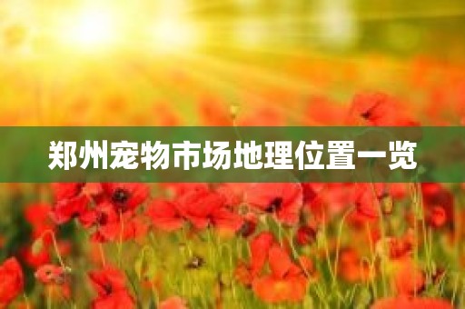 郑州宠物市场地理位置一览
