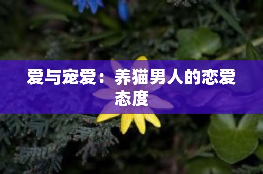 爱与宠爱：养猫男人的恋爱态度