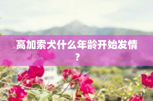 高加索犬什么年龄开始发情？