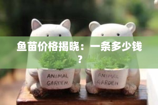 鱼苗价格揭晓：一条多少钱？