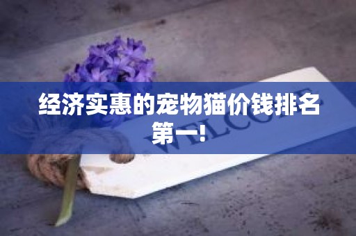 经济实惠的宠物猫价钱排名第一!