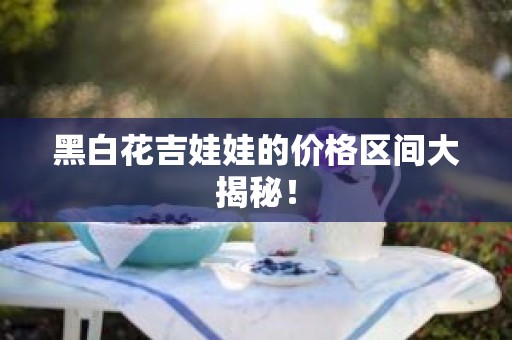 黑白花吉娃娃的价格区间大揭秘！