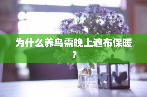 为什么养鸟需晚上遮布保暖？