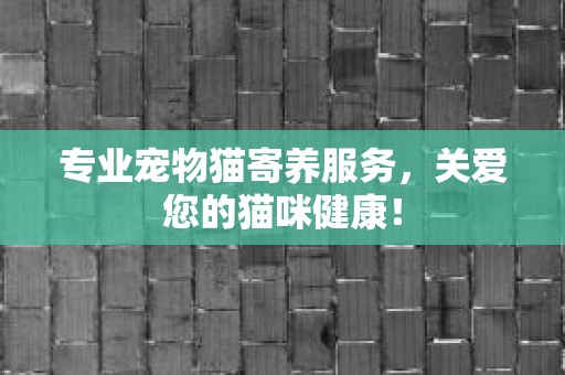 专业宠物猫寄养服务，关爱您的猫咪健康！