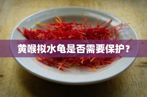 黄喉拟水龟是否需要保护？