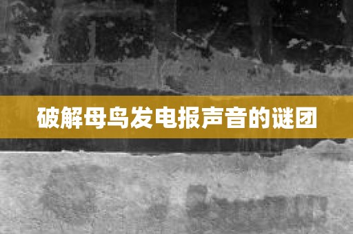 破解母鸟发电报声音的谜团