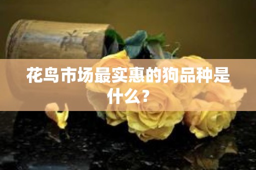 花鸟市场最实惠的狗品种是什么？