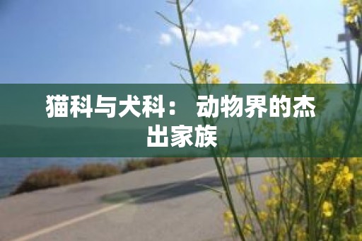 猫科与犬科： 动物界的杰出家族