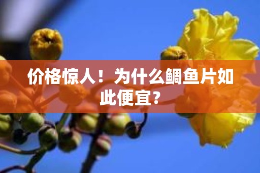 价格惊人！为什么鲷鱼片如此便宜？