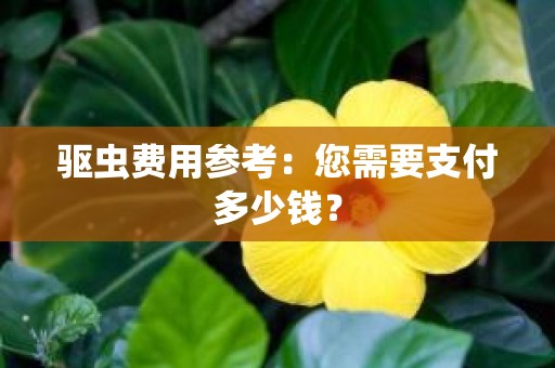 驱虫费用参考：您需要支付多少钱？
