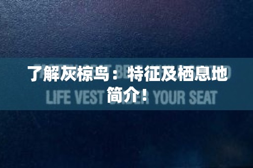 了解灰椋鸟：特征及栖息地简介！