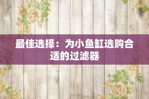 最佳选择：为小鱼缸选购合适的过滤器
