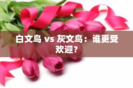 白文鸟 vs 灰文鸟：谁更受欢迎？