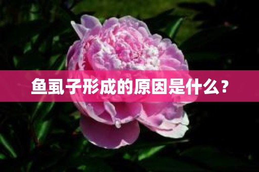 鱼虱子形成的原因是什么？