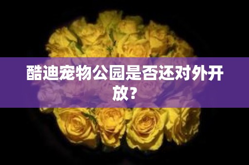 酷迪宠物公园是否还对外开放？