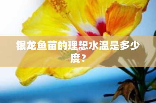 银龙鱼苗的理想水温是多少度？