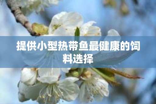 提供小型热带鱼最健康的饲料选择