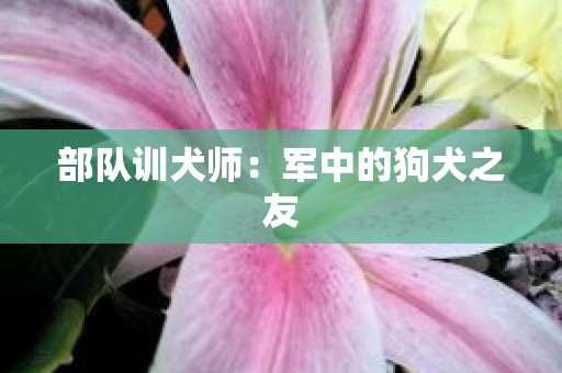部队训犬师：军中的狗犬之友