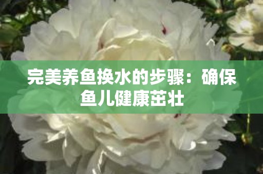 完美养鱼换水的步骤：确保鱼儿健康茁壮