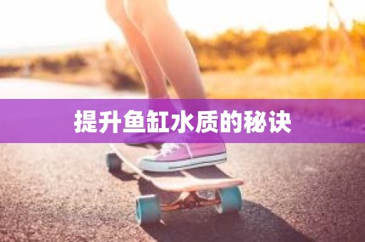 提升鱼缸水质的秘诀