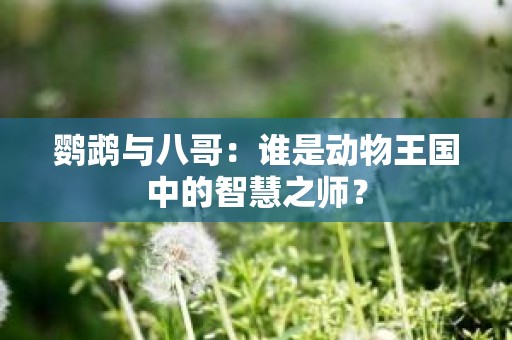 鹦鹉与八哥：谁是动物王国中的智慧之师？
