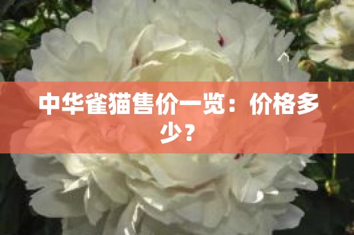 中华雀猫售价一览：价格多少？