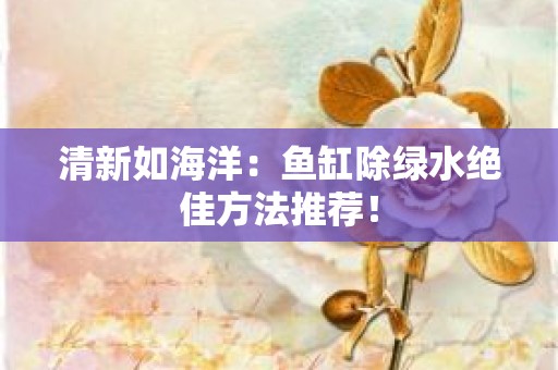 清新如海洋：鱼缸除绿水绝佳方法推荐！