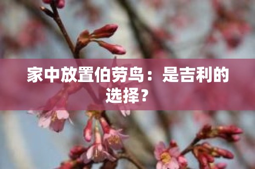 家中放置伯劳鸟：是吉利的选择？