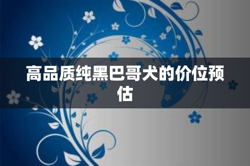 高品质纯黑巴哥犬的价位预估