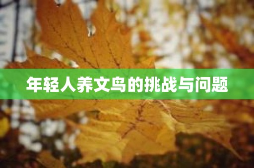 年轻人养文鸟的挑战与问题
