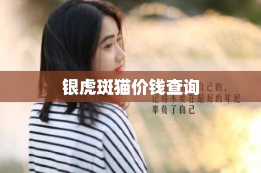 银虎斑猫价钱查询