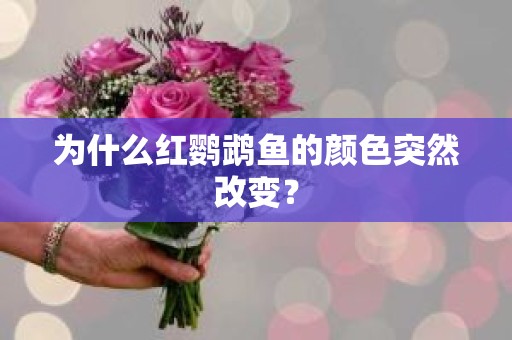 为什么红鹦鹉鱼的颜色突然改变？